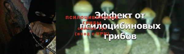 MESCALINE Баксан